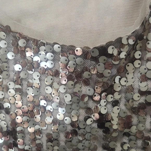 Sequin Dress - Picture 6 of 6